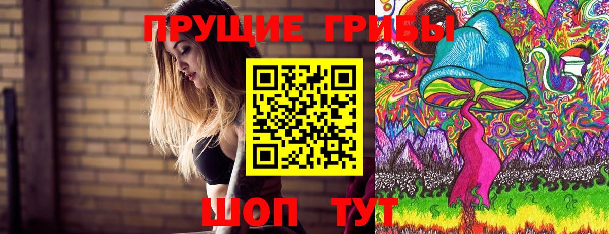Псилоцибиновые грибы ЛСД  Псилоцибиновые грибы ЛСД  Новотроицк  Вход с VPN 