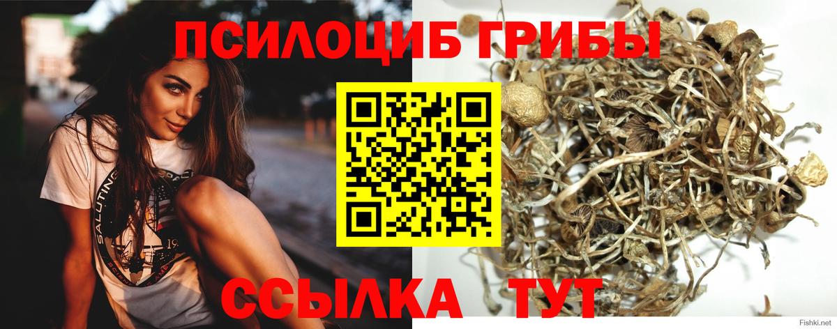 Галлюциногенные грибы ЛСД Новотроицк